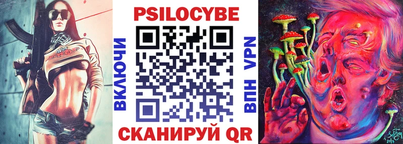 Галлюциногенные грибы Psilocybe  Кемерово 