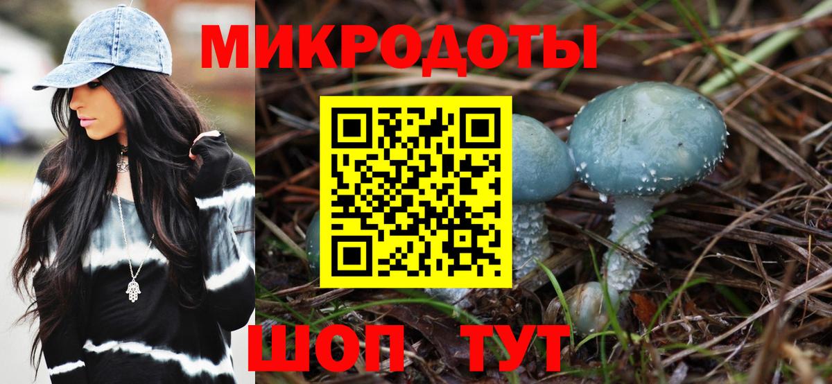 Галлюциногенные грибы Magic Shrooms Кемерово