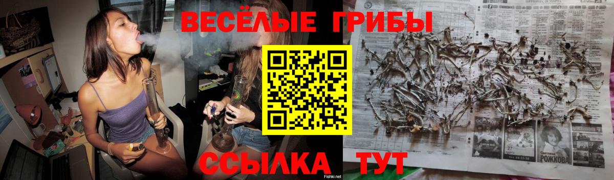 Кемерово  Псилоцибиновые грибы GOLDEN TEACHER  Вход с VPN 